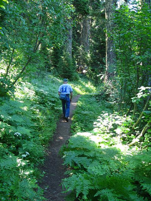 Bolan Mt & Redwoods-126.JPG - Bolan Lake Trail